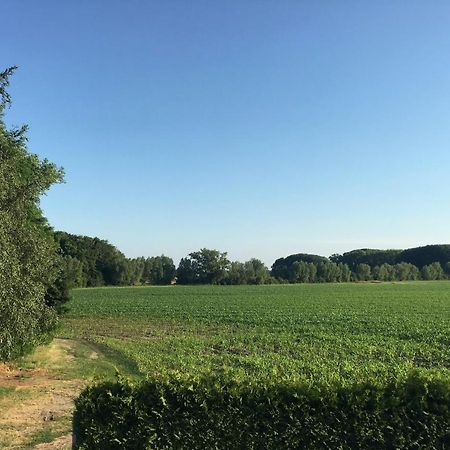 Gaestehaus Luessvitz Ummanz ภายนอก รูปภาพ